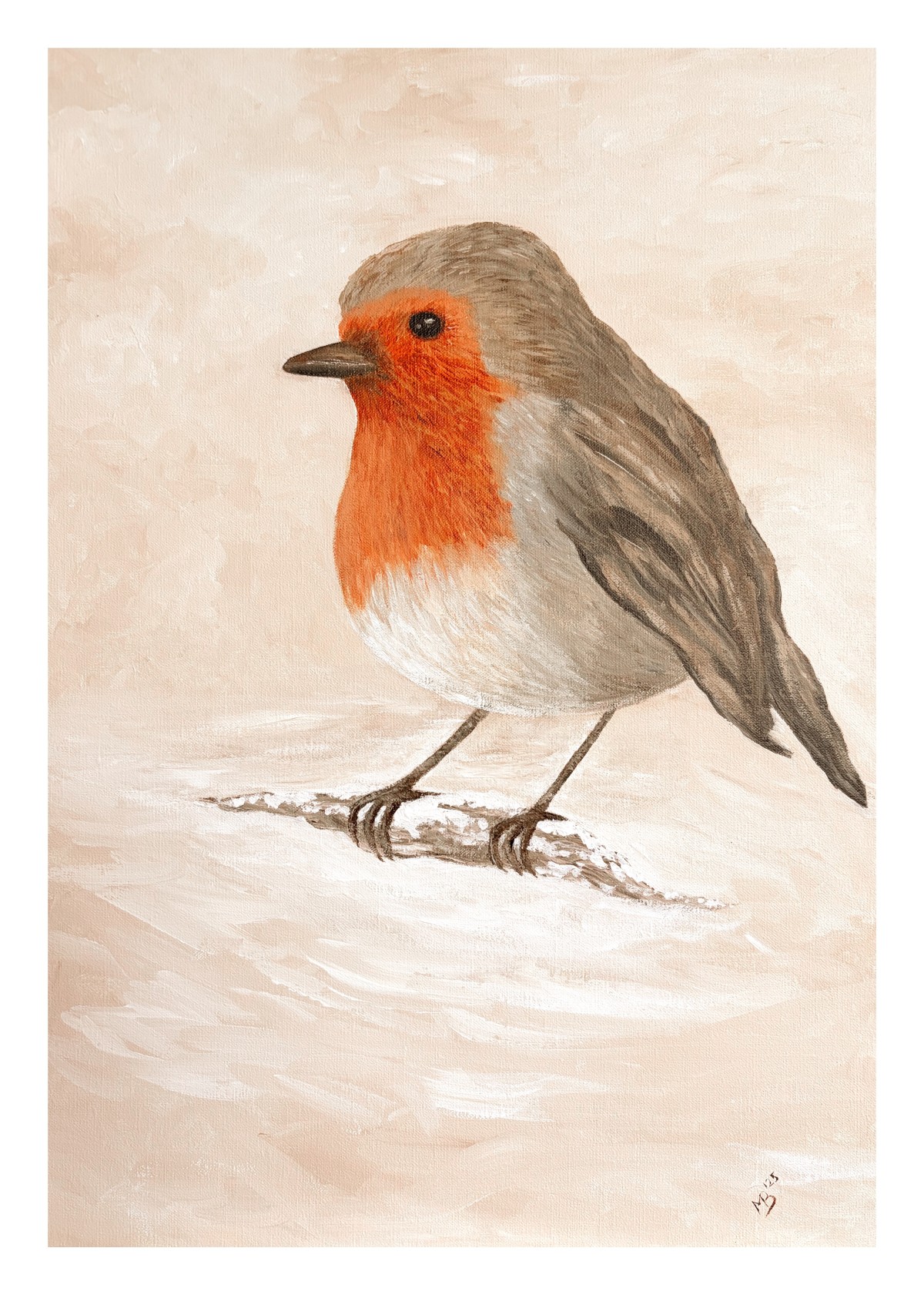 Een klein roodborstje, groot in charme