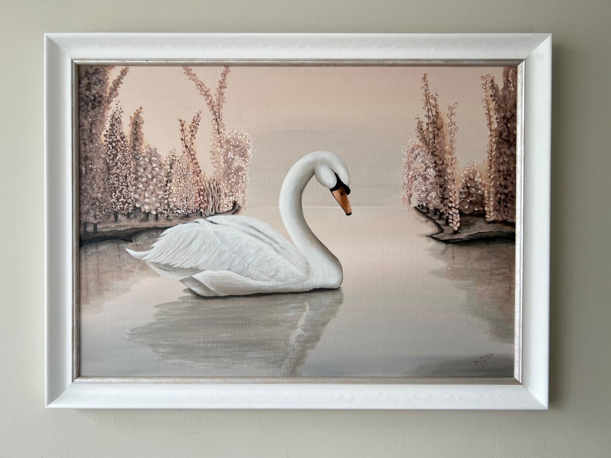 Swan floating on a serene lake